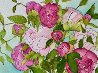 A Bouquet of Peonies