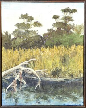 A Cove In Duck