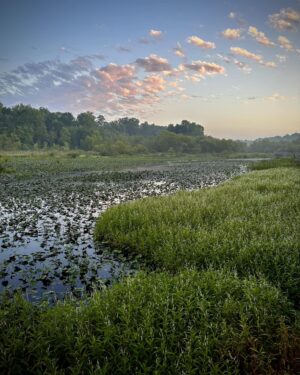 Morning at Tuckahoe Creek Park