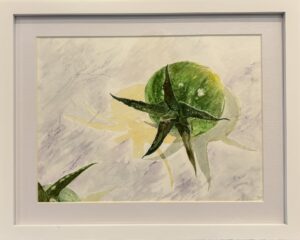 Tomato Ballet - ONLINE EXHIBIT