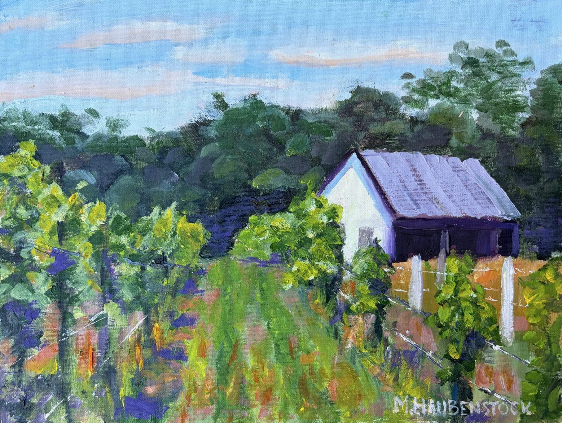 Summer At Shirley Vinyard