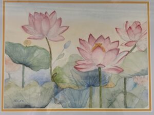 Waterlilies in Bloom