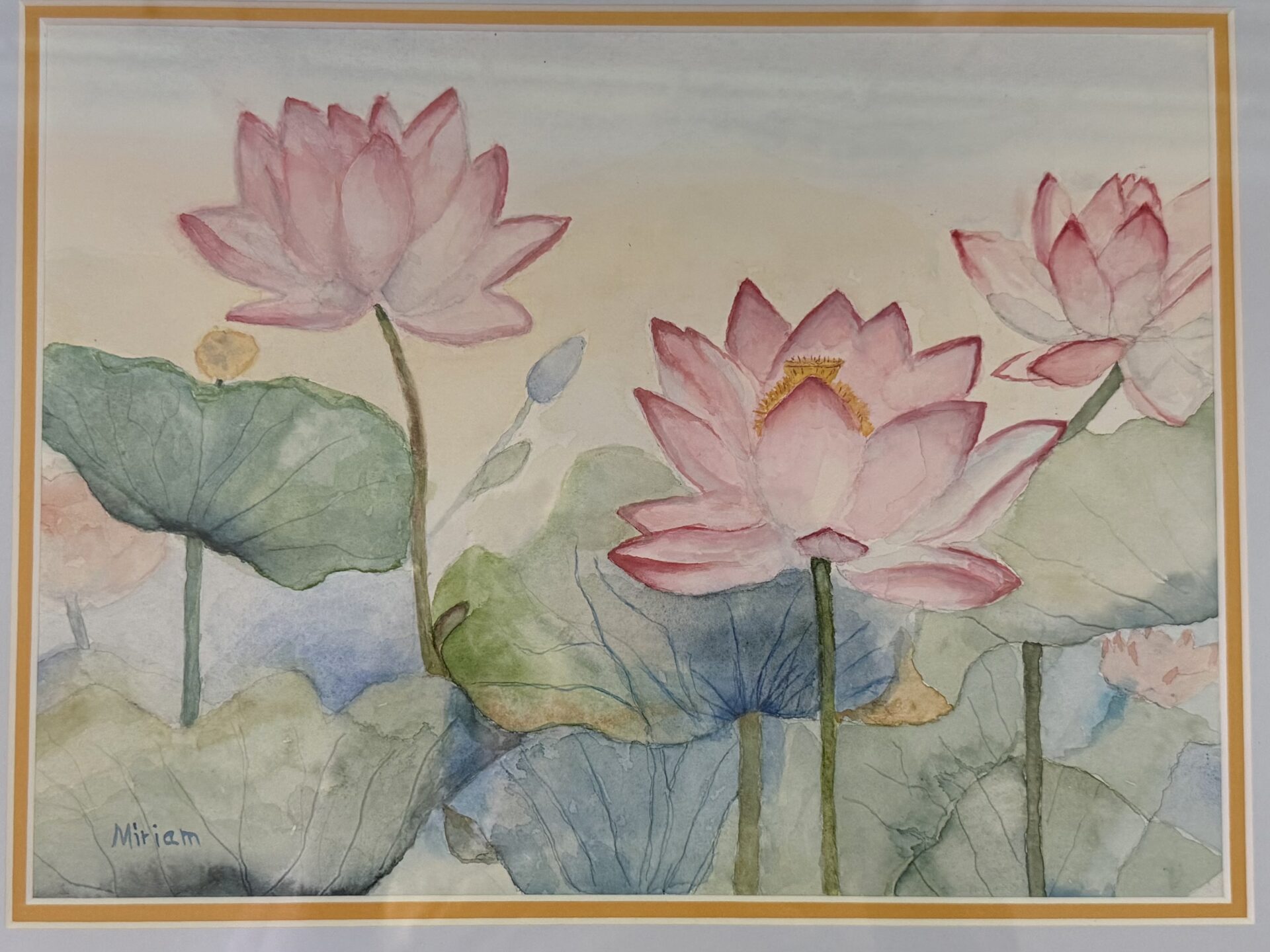 Waterlilies in Bloom