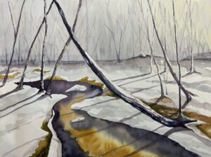 Snowy Shadows