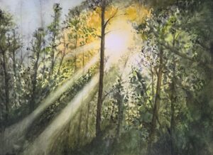 ForestSun