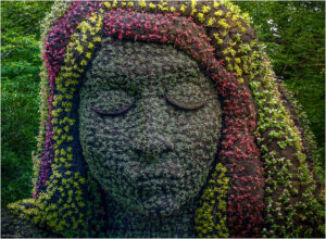 Gaia Sleeps