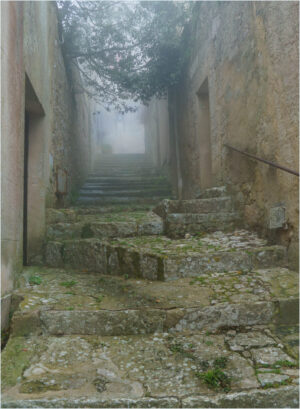 The Ascent