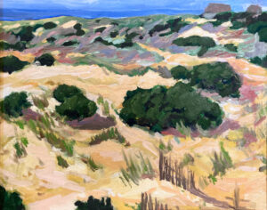 Outerbanks Dunes