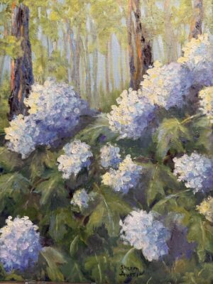 Hydrangea Morning