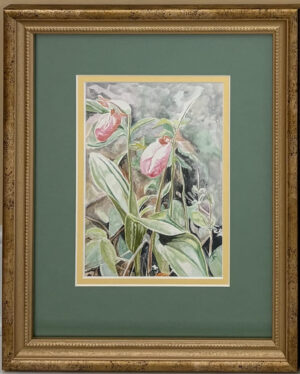 Lady Slipper 2 - ONLINE EXHIBIT